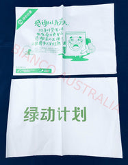 Biodegradable Satchel Bag